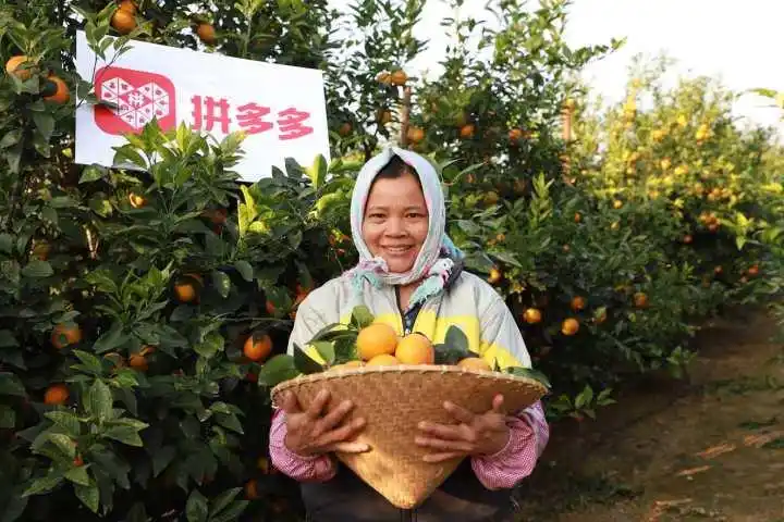黄峥与大数据的应用与探索_应用数据挖掘的案例_数据探索平台