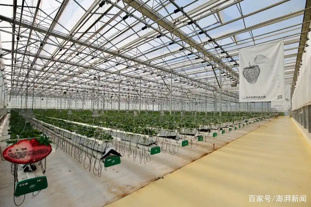 数据探索是什么_黄峥与大数据的应用与探索_数据探索平台