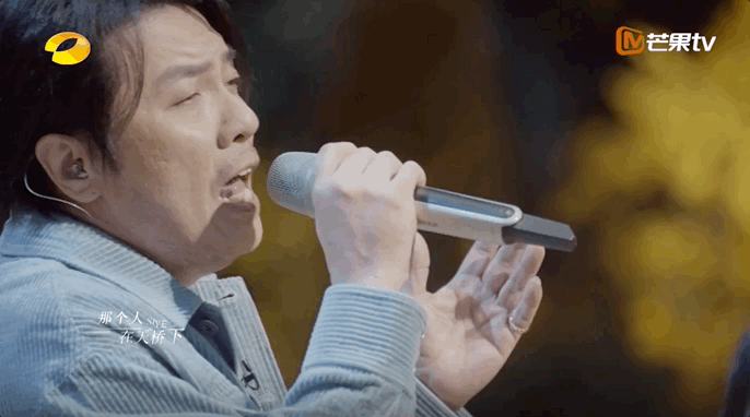 刘德华的音乐之路：从歌手到全能艺人_刘德华是全能艺人吗_刘德华mtv全能杰出艺人