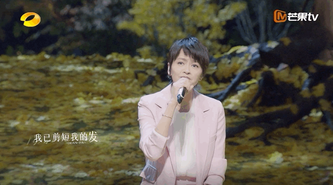 刘德华mtv全能杰出艺人_刘德华的音乐之路：从歌手到全能艺人_刘德华是全能艺人吗