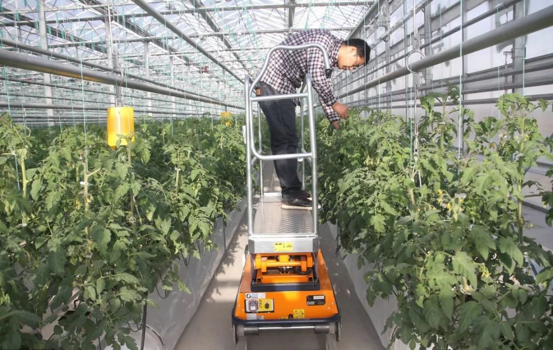 秦英林与生态农业的探索之路_秦英林与生态农业的探索之路_秦英林与生态农业的探索之路