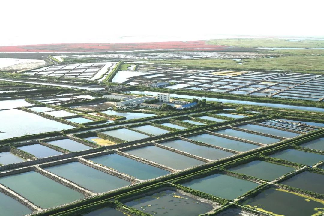 秦英林与生态农业的探索之路_秦英林与生态农业的探索之路_秦英林与生态农业的探索之路