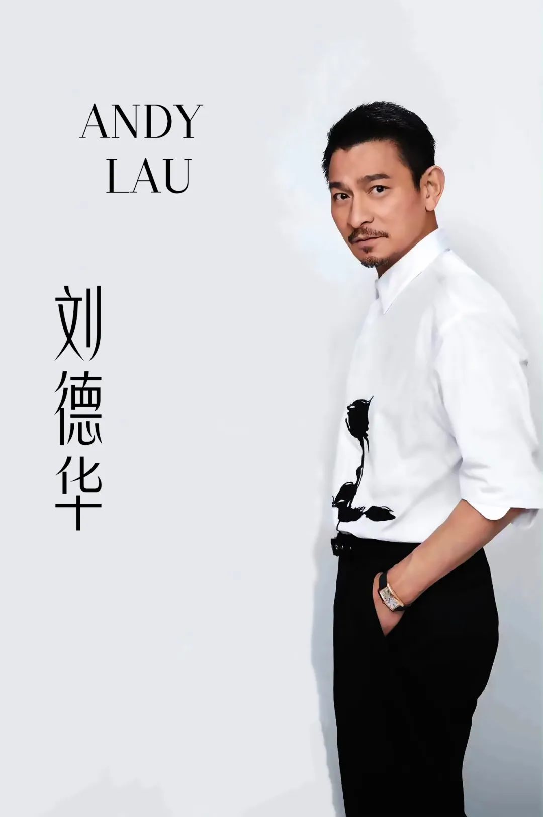 刘德华全能王_刘德华mtv全能杰出艺人_刘德华的音乐之路：从歌手到全能艺人