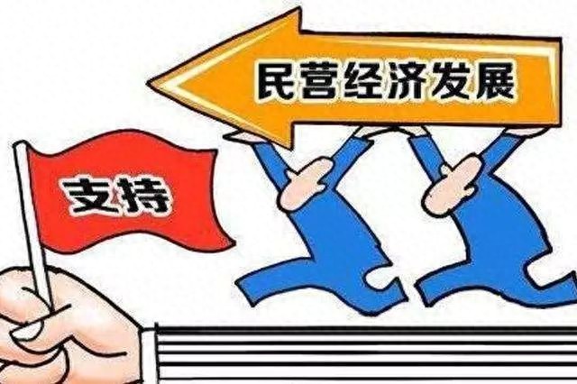 光明汽车城项目_新能源汽车市场的光明与阴霾_光明新能源公司