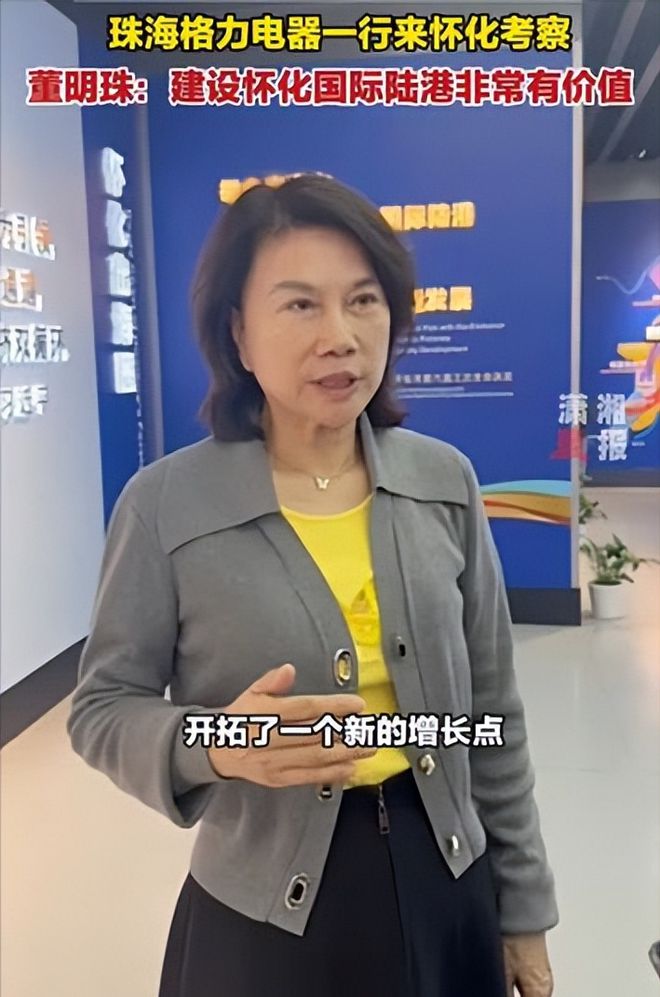 格力集团董事长董明珠的历程_格力集团董明珠股份_格力董事长董明珠被停职，格力电器的解读与行业观察反响