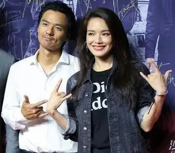 特工绍特剧情深度解析_深度解析张雨绮的演艺之路_娃娃潘迎紫演艺之路