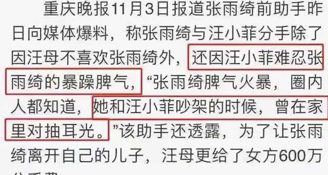 特工绍特剧情深度解析_深度解析张雨绮的演艺之路_娃娃潘迎紫演艺之路