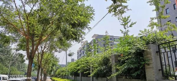 nova游戏是什么意思_nova系列的游戏性能与娱乐体验_nova游戏