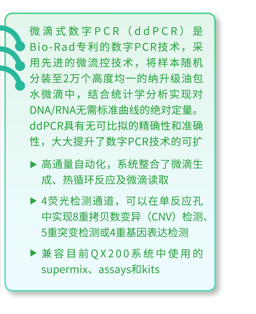 策略效应_经营中的策略是指_秦英林的经营策略与市场反应
