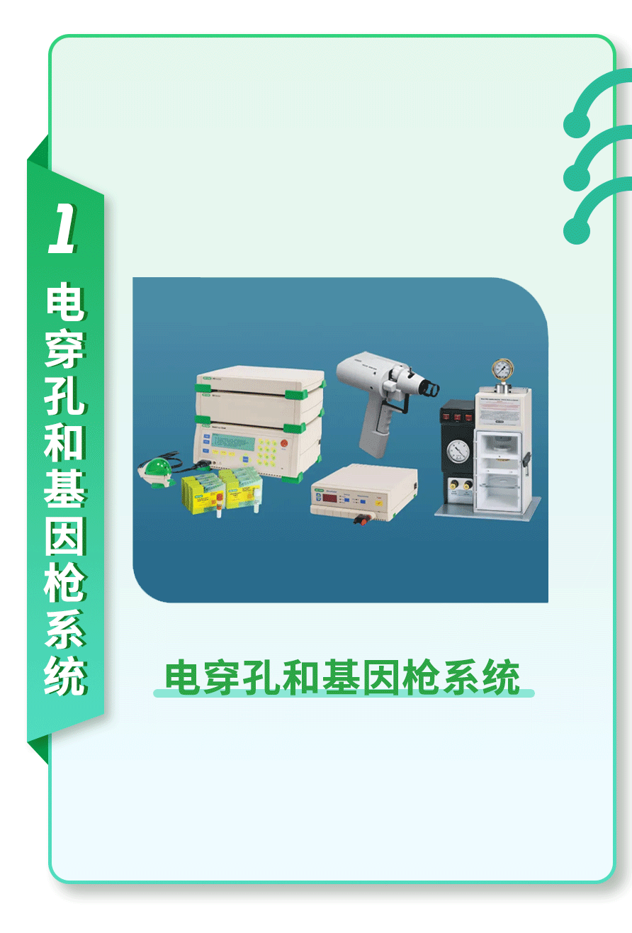 经营中的策略是指_策略效应_秦英林的经营策略与市场反应