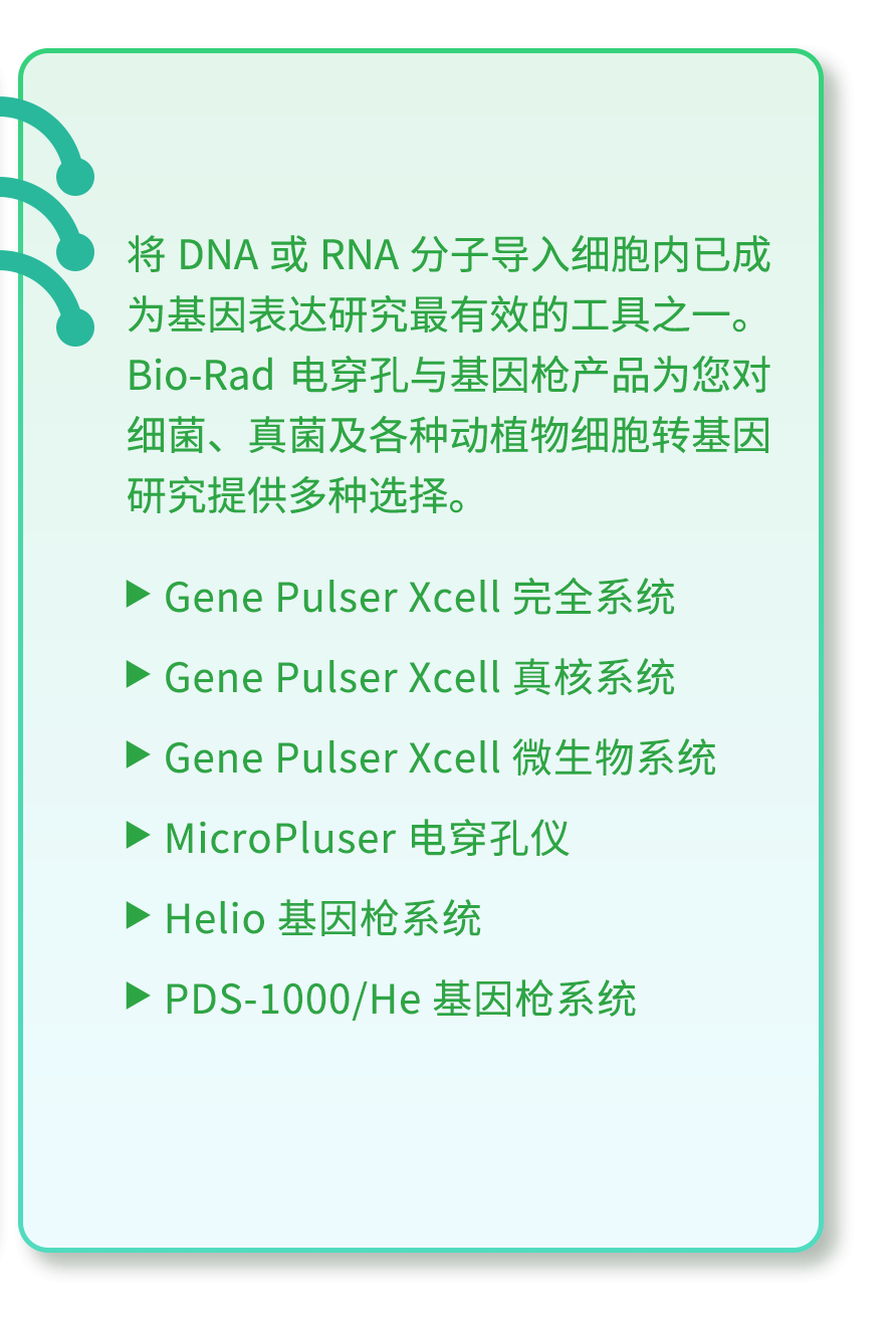 策略效应_秦英林的经营策略与市场反应_经营中的策略是指