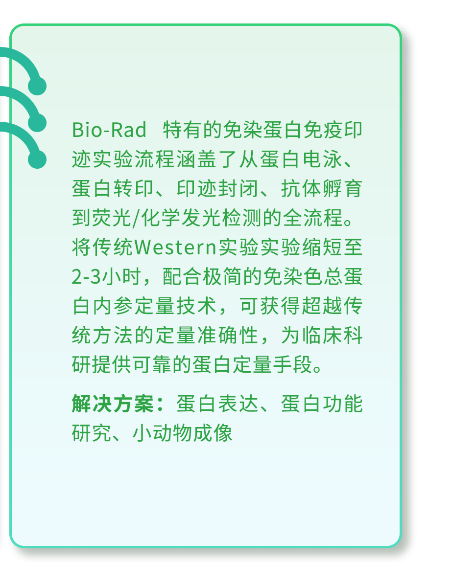 经营中的策略是指_秦英林的经营策略与市场反应_策略效应