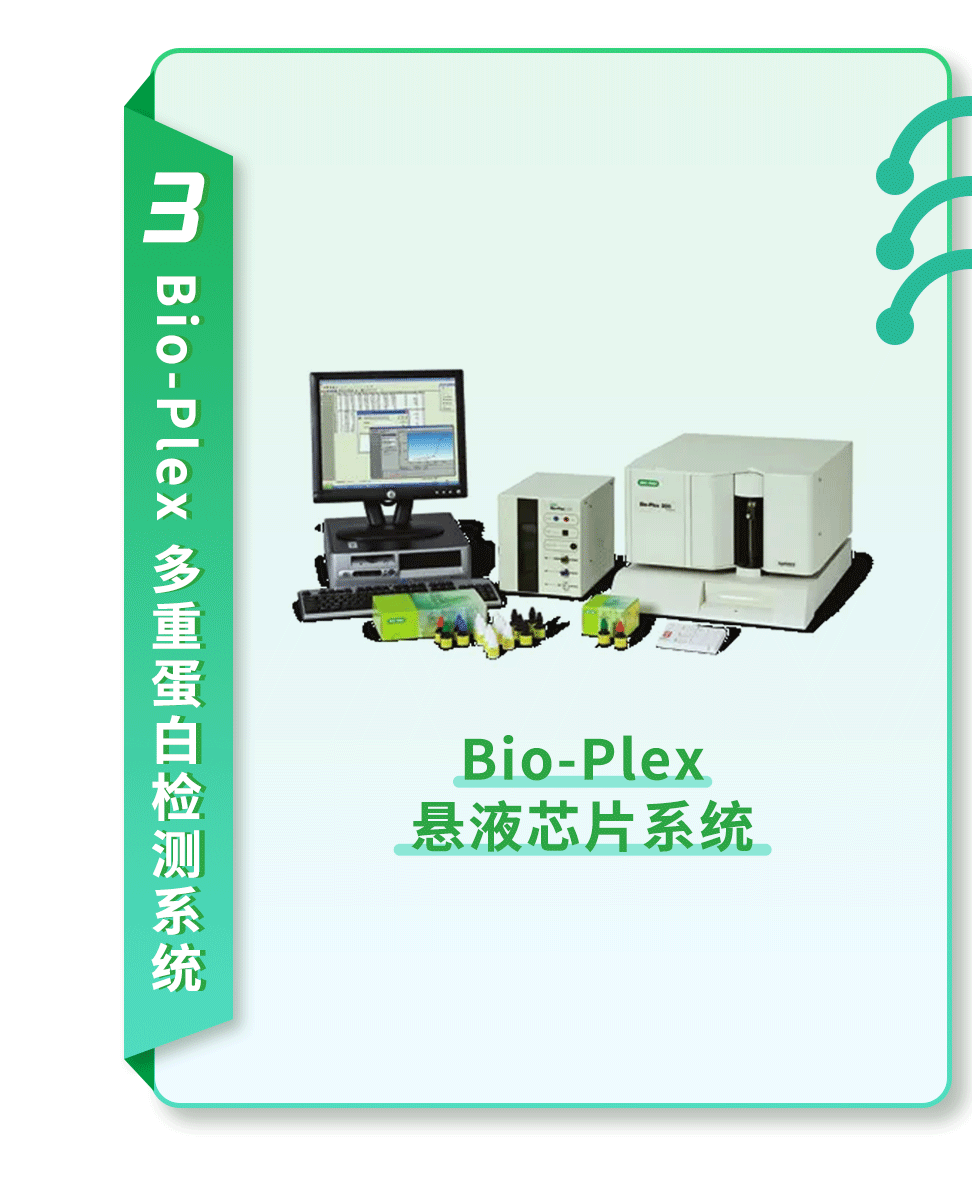 经营中的策略是指_秦英林的经营策略与市场反应_策略效应