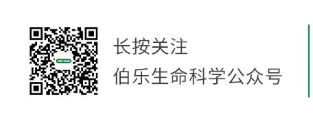 策略效应_经营中的策略是指_秦英林的经营策略与市场反应