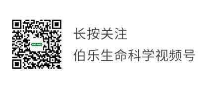 经营中的策略是指_策略效应_秦英林的经营策略与市场反应