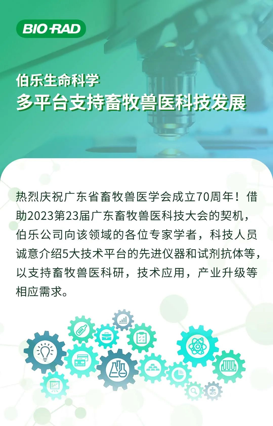 秦英林的经营策略与市场反应_策略效应_经营中的策略是指