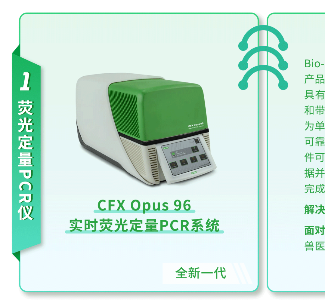 策略效应_经营中的策略是指_秦英林的经营策略与市场反应
