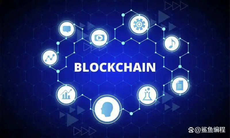 数字货币应用场景概念股_应用货币的五种职能_数字货币的主要应用场景