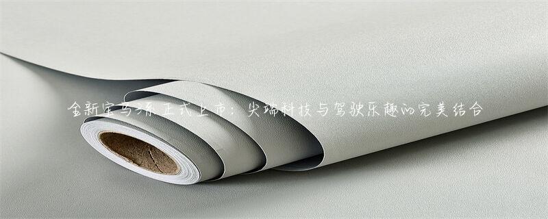 安全科技与豪华体验：宝马的完美结合_宝马新科技_宝马科技感车