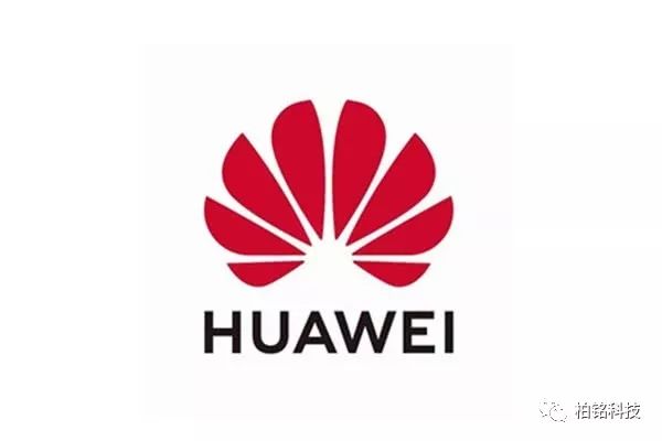 荣耀系列拍照哪个好_荣耀拍照手机排行榜2021_荣耀在拍照手机市场的竞争优势