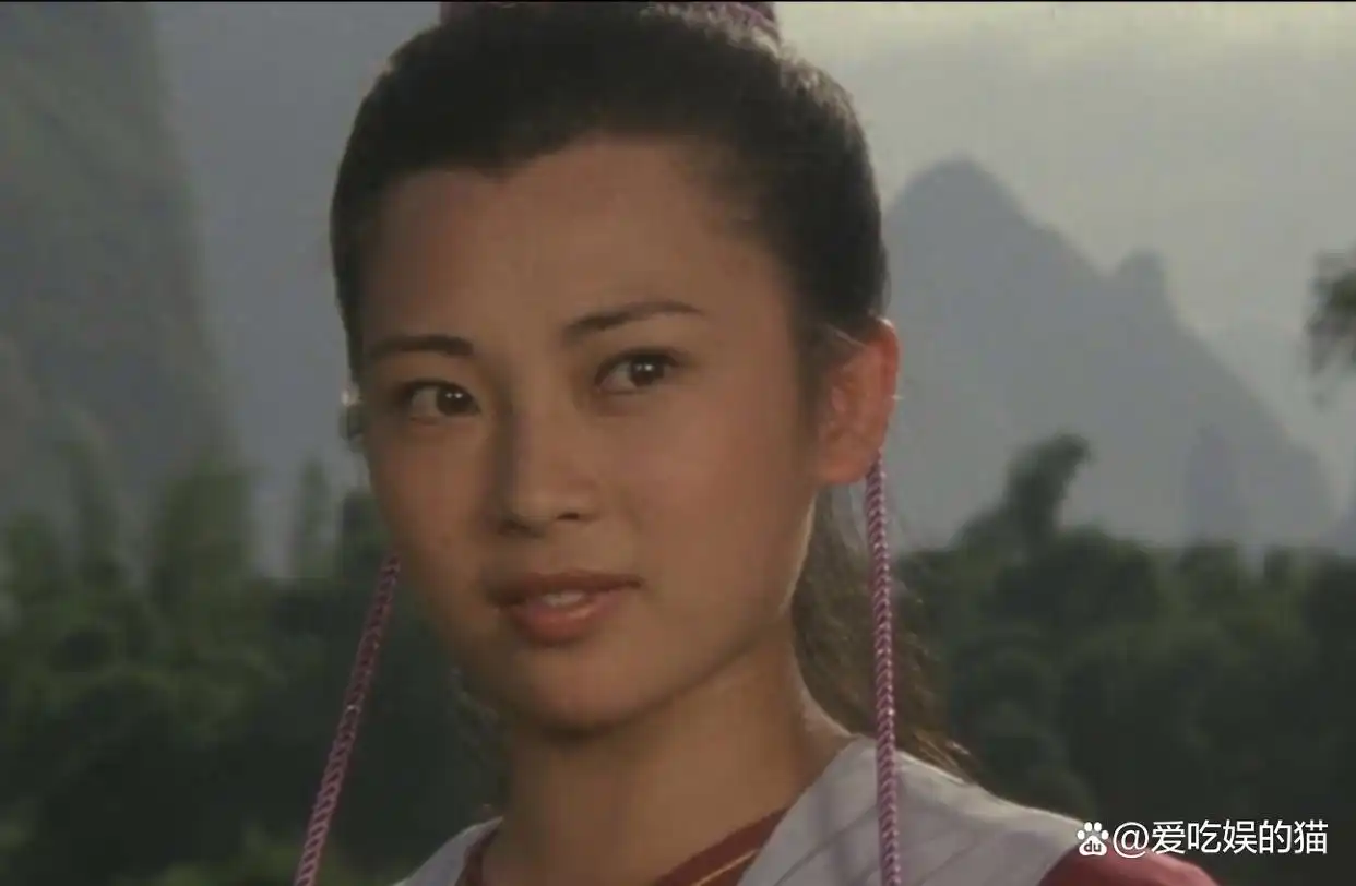 李连杰在国际影坛的影响力_百度李连杰影响世界华人_李连杰国际地位