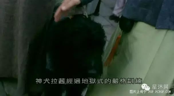 周星驰作品票房排行_周星驰的影视作品与票房成绩_周星驰票房纪录