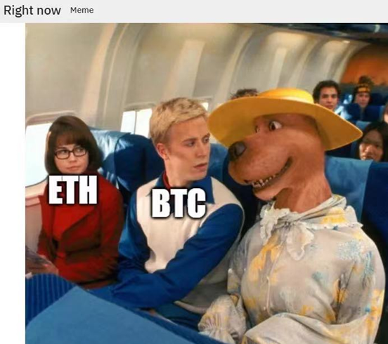 加密货币狗狗币再创新高_了解狗狗币的流行病学：如何影响加密货币生态_加密狗币行情
