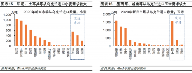 数字货币在新兴市场的潜力：如何推动地方经济的快速发展_新兴货币政策_新兴经济体货币