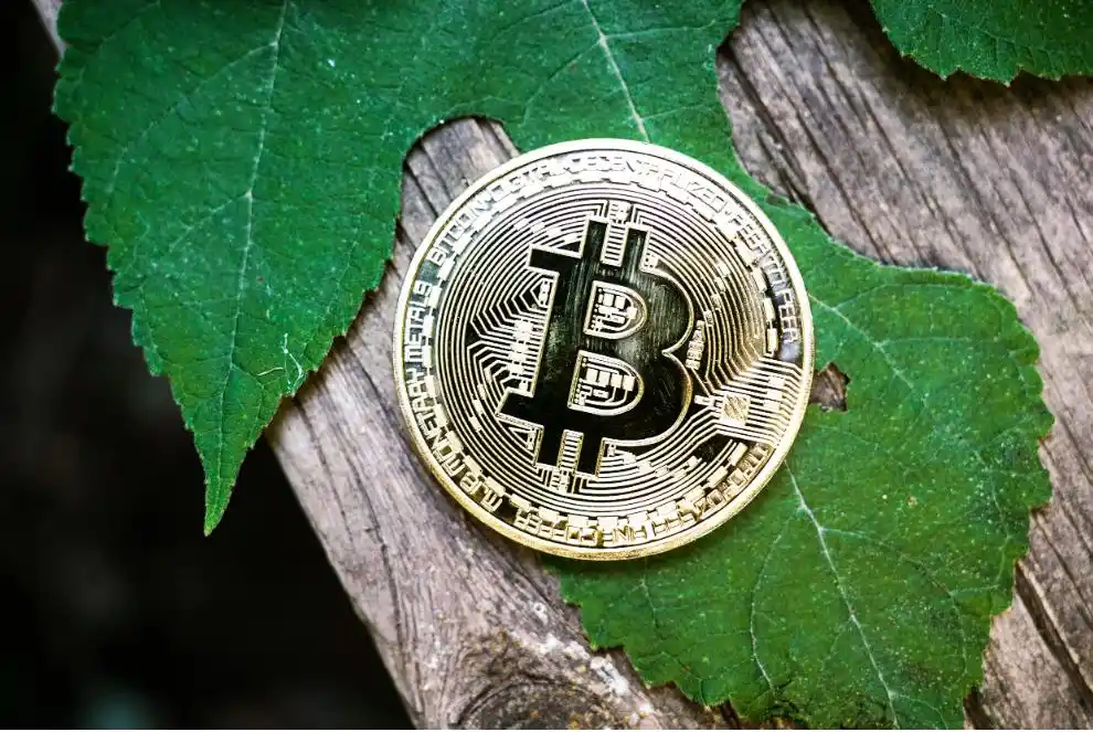 特朗普比特币_特朗普力挺，数字货币疯狂！比特币再创新高直逼9万美元，空头遭大规模爆仓_特朗普btc