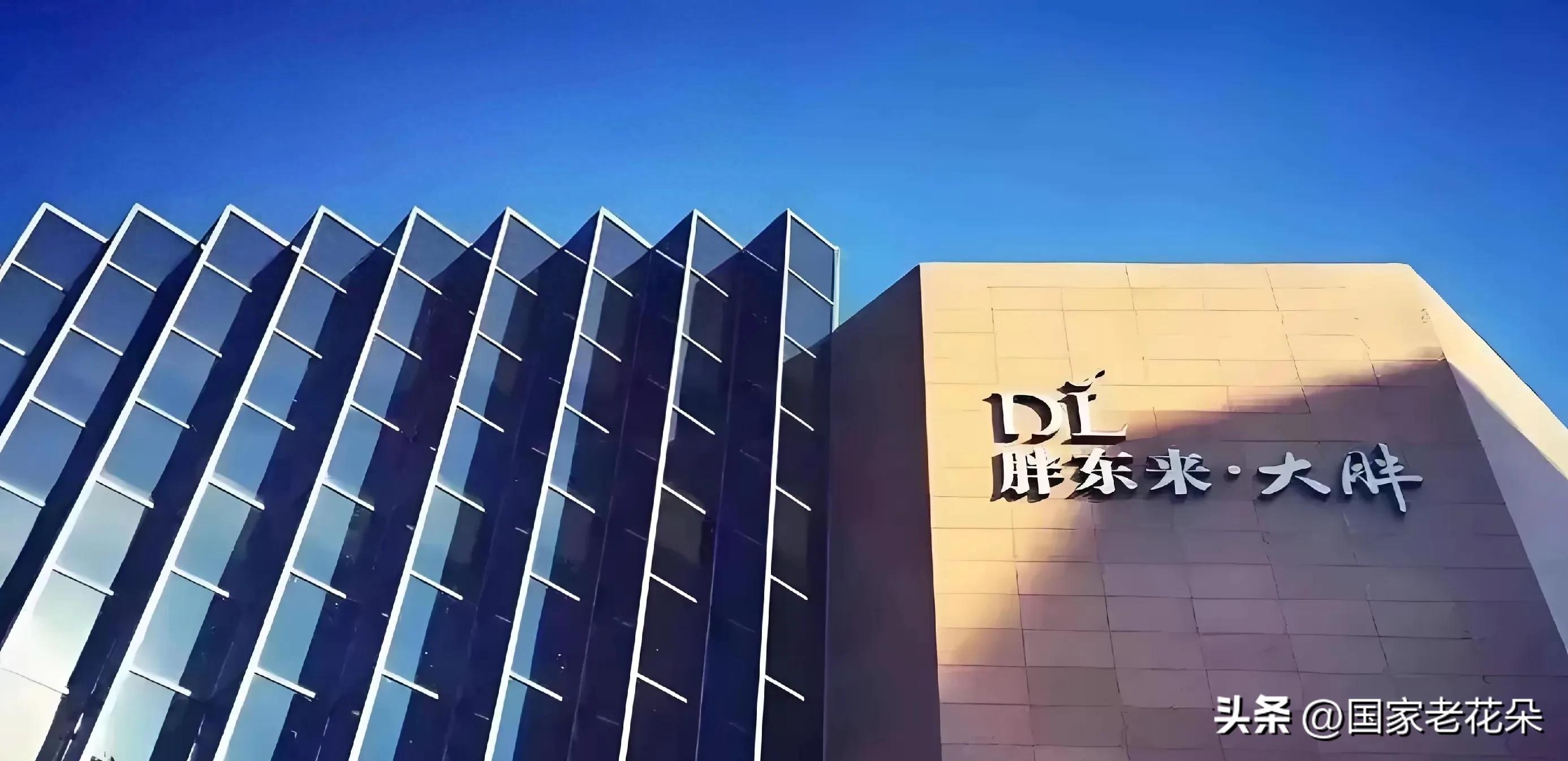 顾客对胖东来的评价_胖东来如何实现客户满意度_胖东来如何通过质量和服务赢得顾客认可？