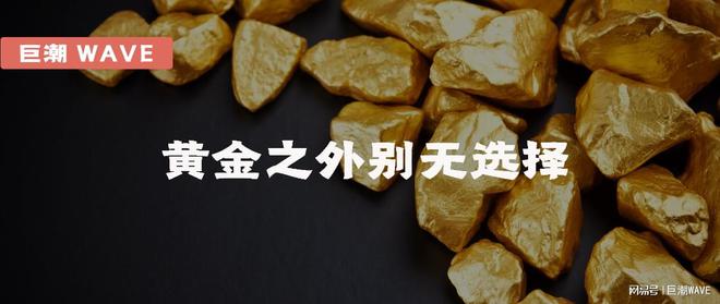 货币回报率_选择数字货币的风险回报分析_货币金融学回报率