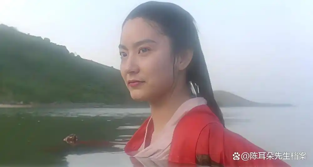 李连杰指导的电影_李连杰电影系列经典_李连杰与导演的合作经典