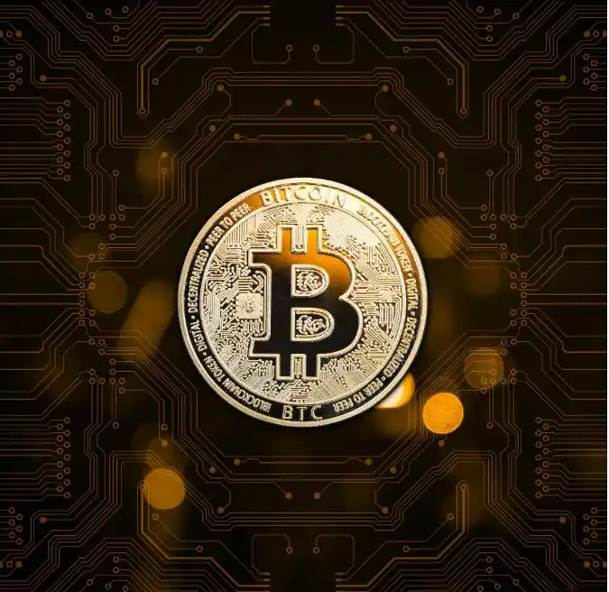 特朗普力挺，数字货币疯狂！比特币再创新高直逼9万美元，空头遭大规模爆仓_特朗普谈比特币_特朗普pi币