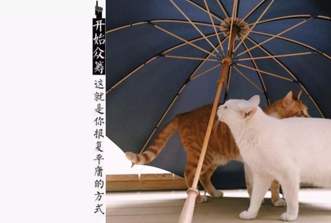 关于兰博基尼的故事_被兰博基尼吸引的那些名人故事_兰博基尼的励志故事