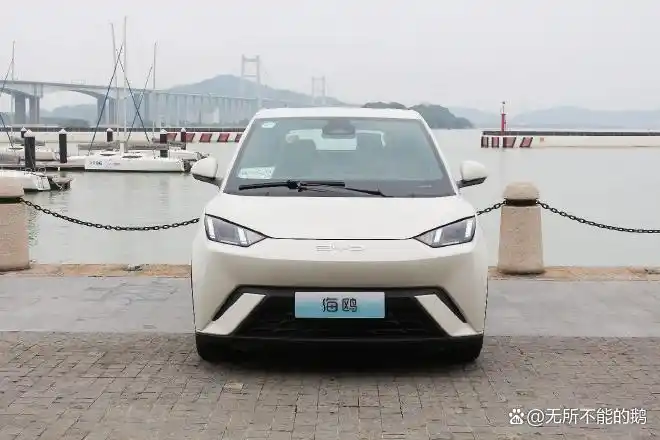比亚迪海鸥实车_比亚迪天津出行_如何通过比亚迪海鸥实现零排放出行？