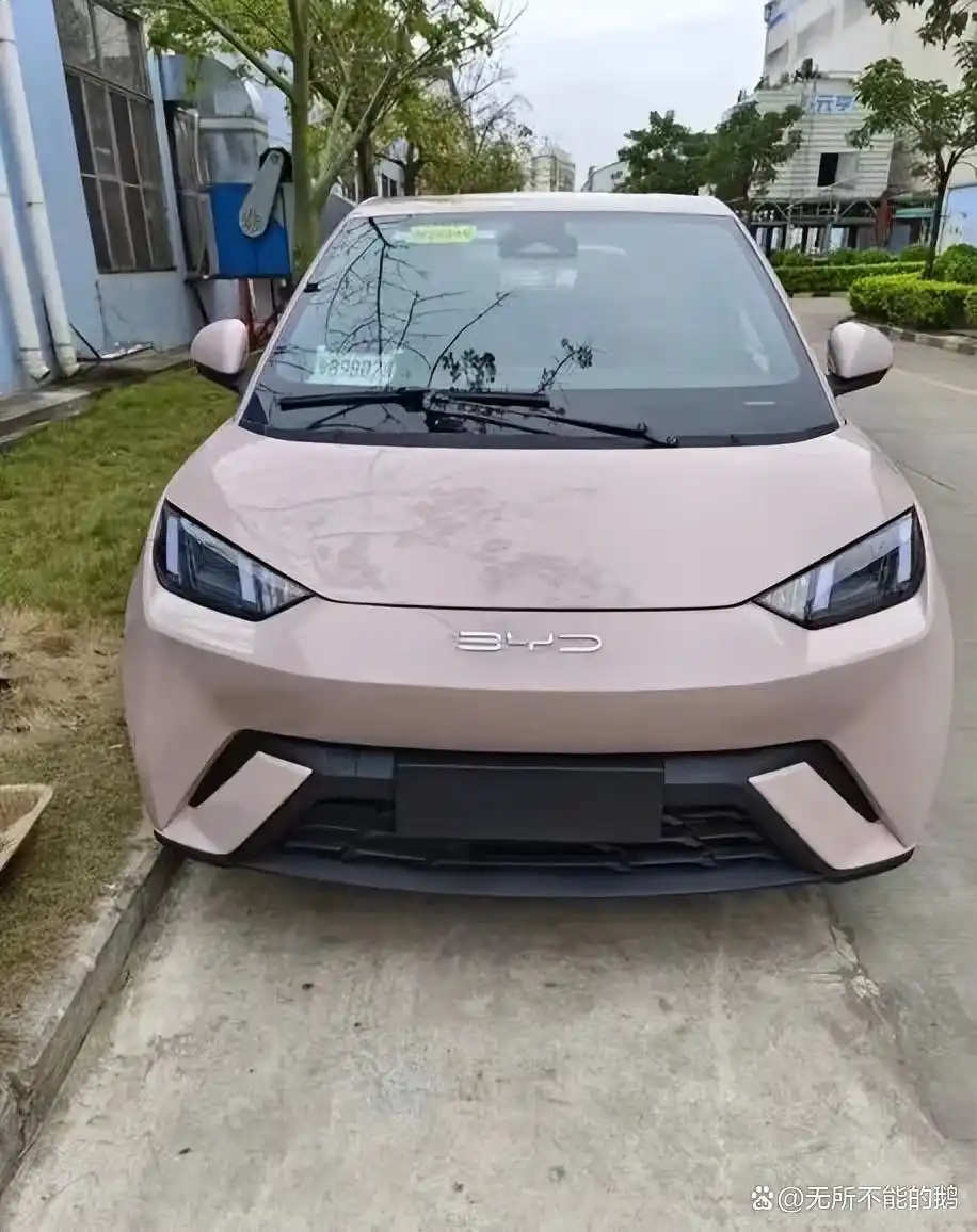 比亚迪海鸥实车_如何通过比亚迪海鸥实现零排放出行？_比亚迪天津出行