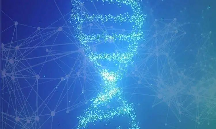 USDT：提升投资组合的关键工具_USDT：提升投资组合的关键工具_USDT：提升投资组合的关键工具