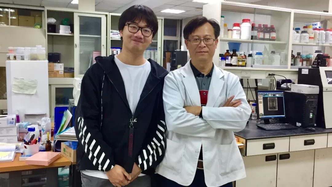 中兴手机例子_中兴手机历史_使用中兴手机记录生活中的美好瞬间