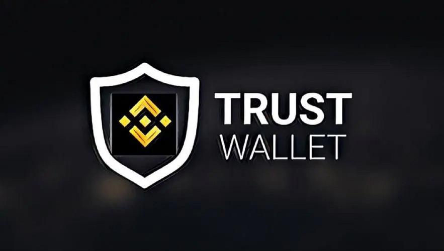 规避风险的投资_用户经验分享：使用Trust Wallet后，我如何规避了投资风险？_规避风险投资者