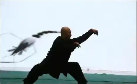 李连杰武术大赛得到领导接见_武术李连杰推广中国功夫视频_李连杰与中国武术的推广