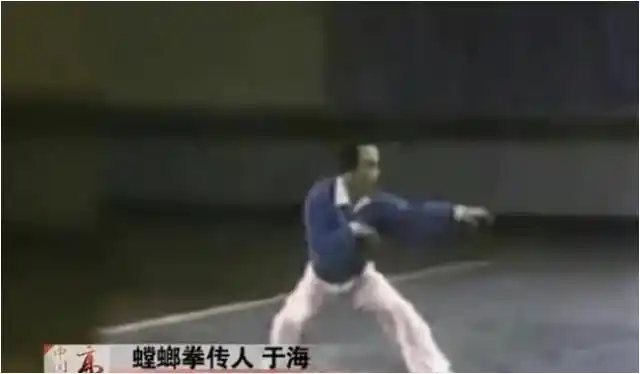 武术李连杰推广中国功夫视频_李连杰武术大赛得到领导接见_李连杰与中国武术的推广