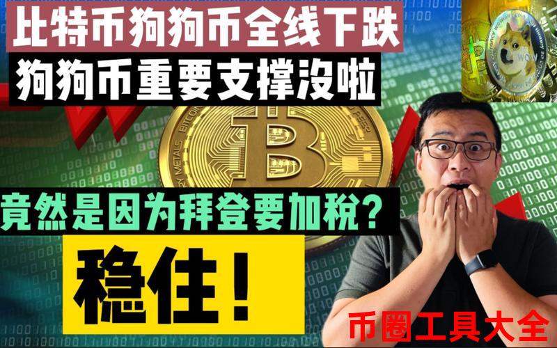 狗狗币的市场波动性分析：投资者应如何应对风险_狗狗币和波场哪个值得投资_波动狗梗来源